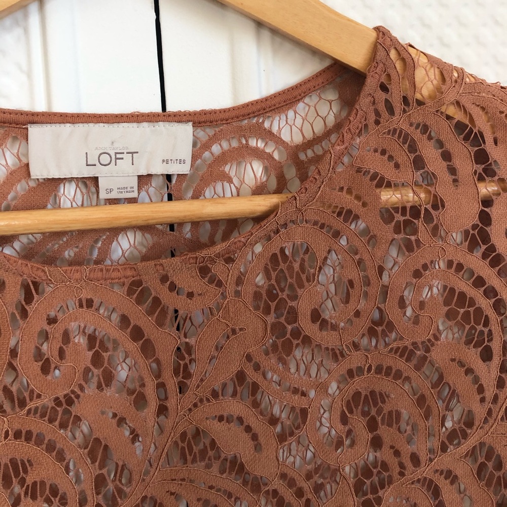 See Through Lace Short Sleeve Top